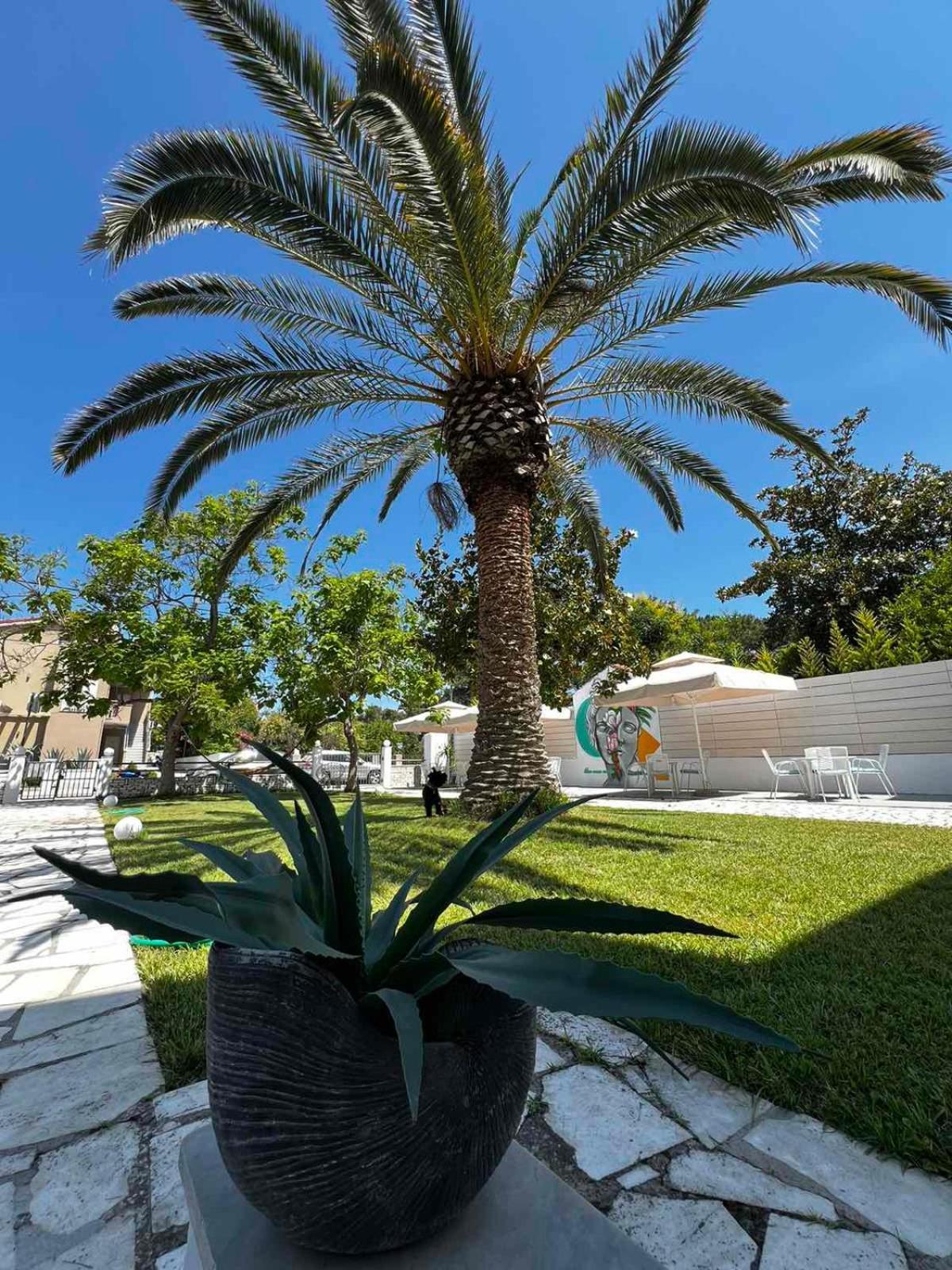 Hotel Proteas Ormos Prinou  Exterior photo